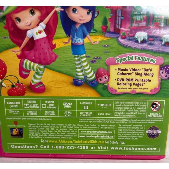 The Strawberry Shortcake DVD Skys The Limit 2009 Movie - Picture 3 of 6
